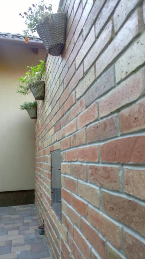 Golden Apartman Orosháza Exteriör bild